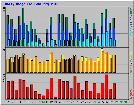 Daily usage for February 2013