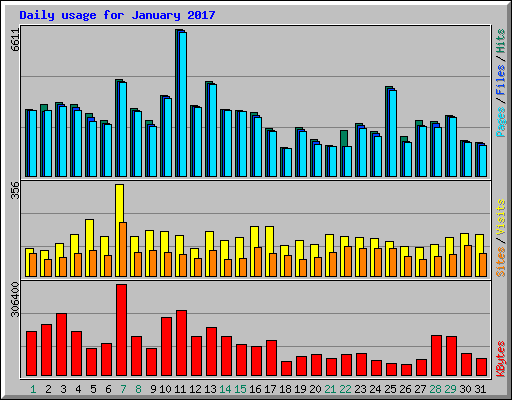 Daily usage for January 2017