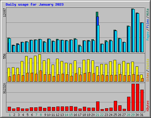 Daily usage for January 2023