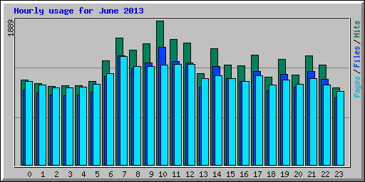 Hourly usage for June 2013