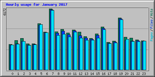 Hourly usage for January 2017