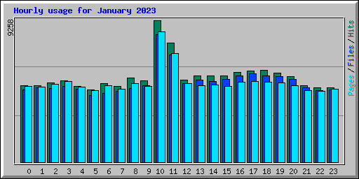 Hourly usage for January 2023