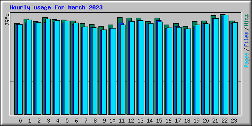 Hourly usage for March 2023